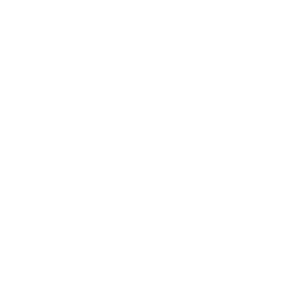 LeadGames logo white